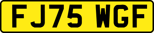 FJ75WGF
