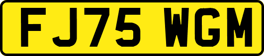FJ75WGM