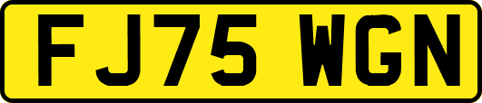 FJ75WGN