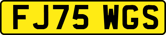 FJ75WGS