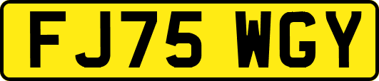 FJ75WGY