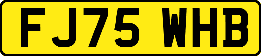 FJ75WHB