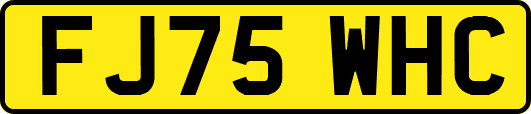 FJ75WHC