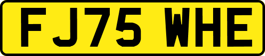 FJ75WHE