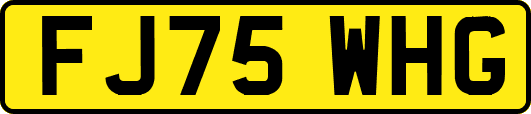 FJ75WHG