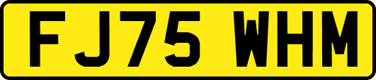 FJ75WHM