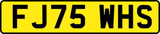 FJ75WHS
