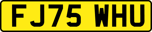 FJ75WHU
