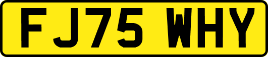 FJ75WHY