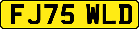 FJ75WLD