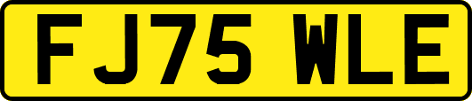 FJ75WLE