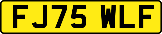 FJ75WLF
