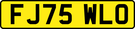 FJ75WLO