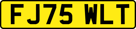 FJ75WLT