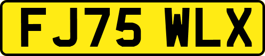 FJ75WLX