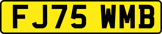 FJ75WMB