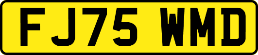 FJ75WMD