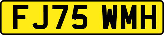 FJ75WMH
