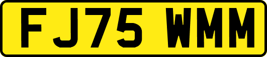 FJ75WMM