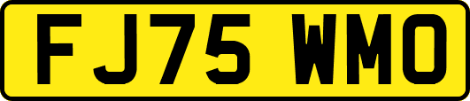 FJ75WMO