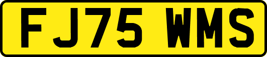 FJ75WMS