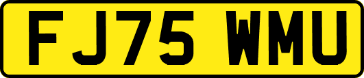 FJ75WMU