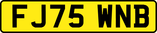 FJ75WNB
