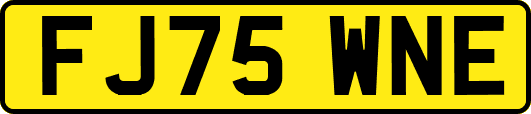 FJ75WNE