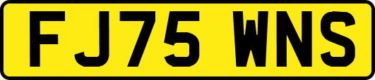 FJ75WNS