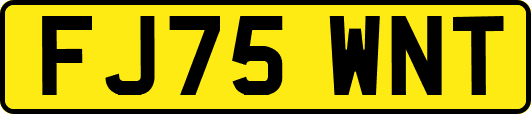 FJ75WNT