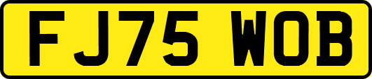 FJ75WOB