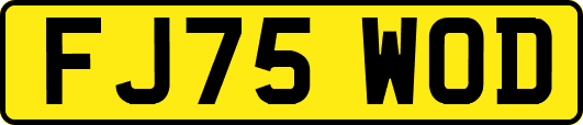 FJ75WOD
