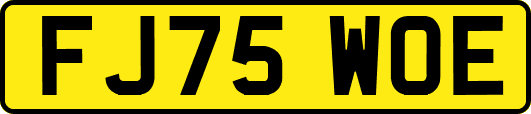 FJ75WOE