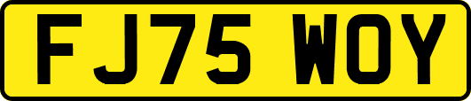 FJ75WOY