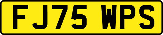 FJ75WPS