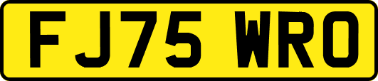 FJ75WRO