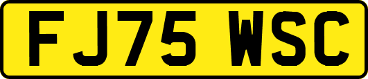 FJ75WSC