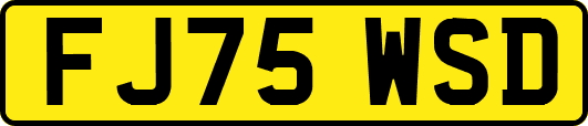 FJ75WSD