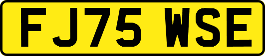 FJ75WSE