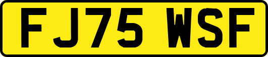 FJ75WSF