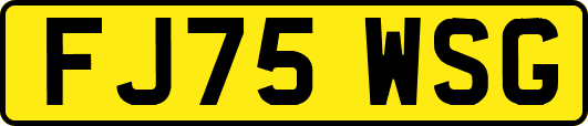 FJ75WSG