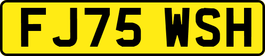 FJ75WSH