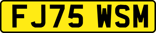 FJ75WSM