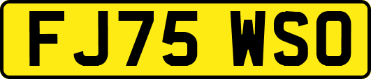 FJ75WSO