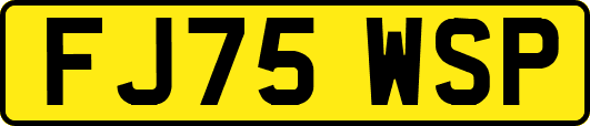 FJ75WSP