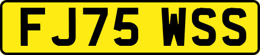 FJ75WSS