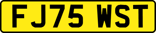 FJ75WST