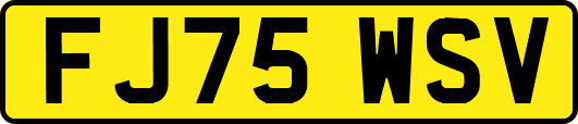 FJ75WSV