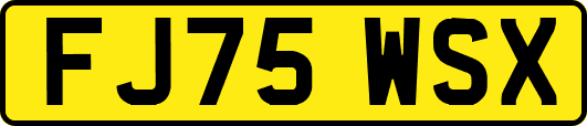 FJ75WSX