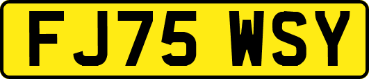 FJ75WSY